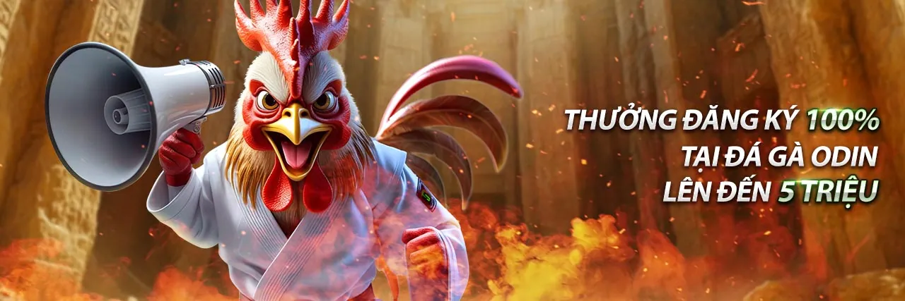 Hình ảnh minh họa mã hóa dữ liệu và bảo mật thông tin tại 66ff link mới